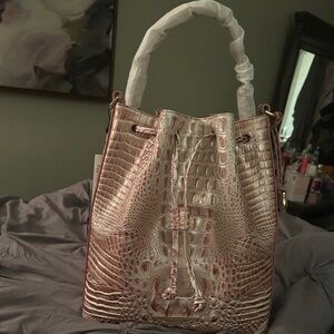 NWT BRAHMIN